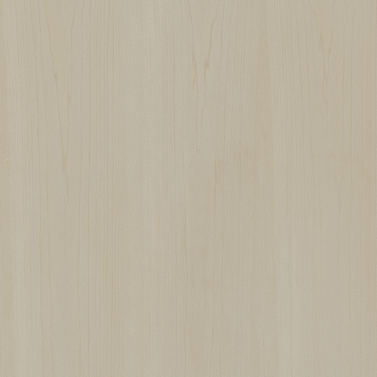 Zintra-Swatches-Poplar.jpg