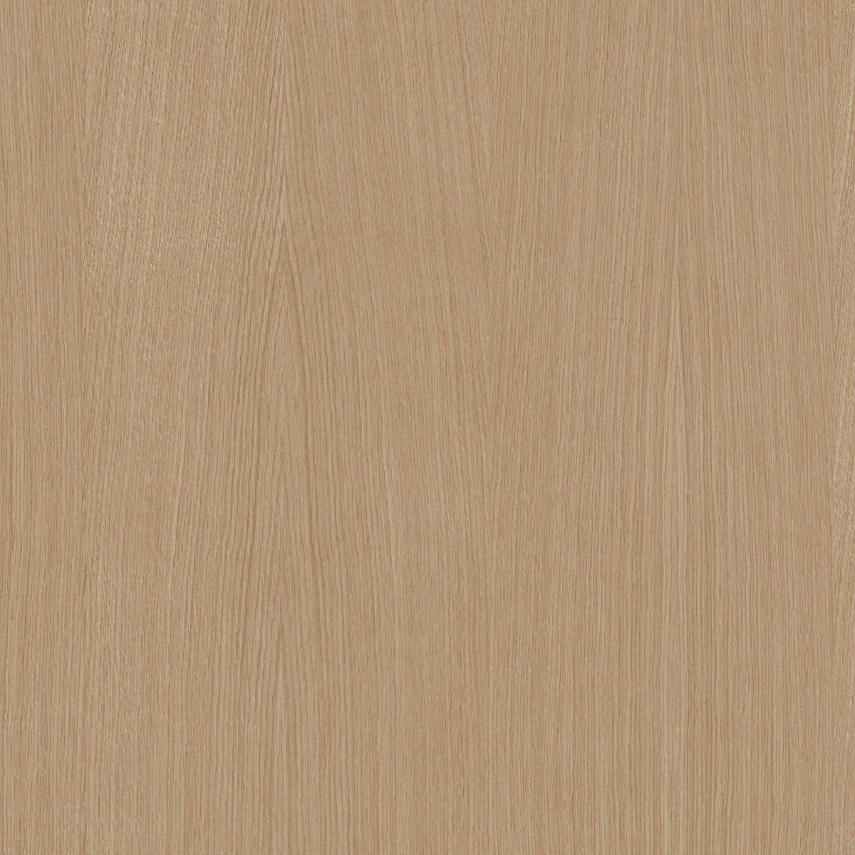 Zintra-Swatches-White-Oak.jpg