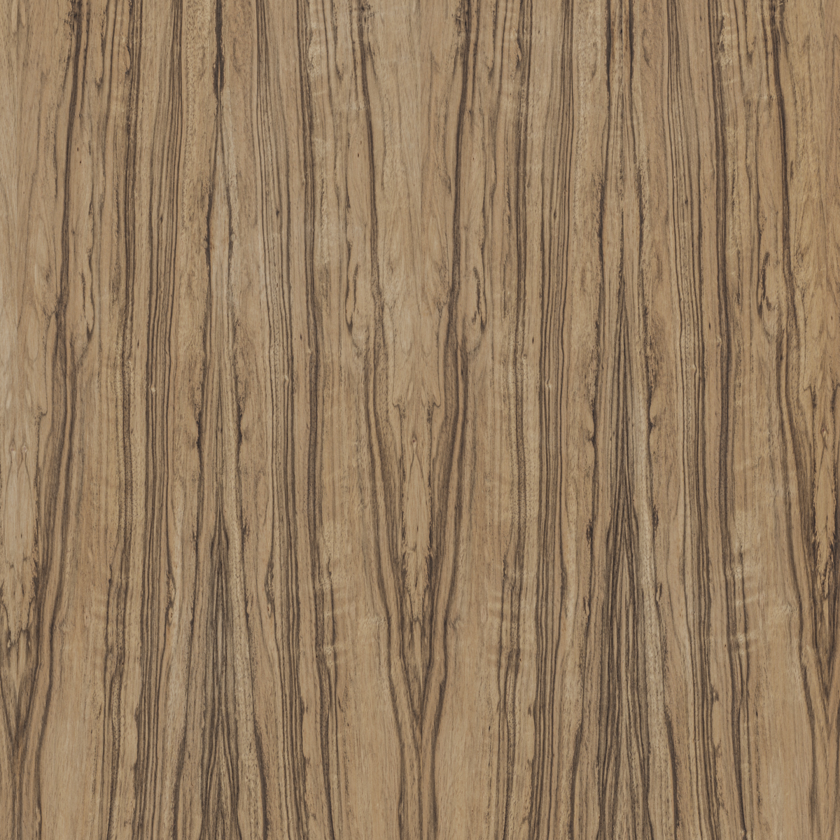 Zintra-Swatches-Australian-Walnut.jpg
