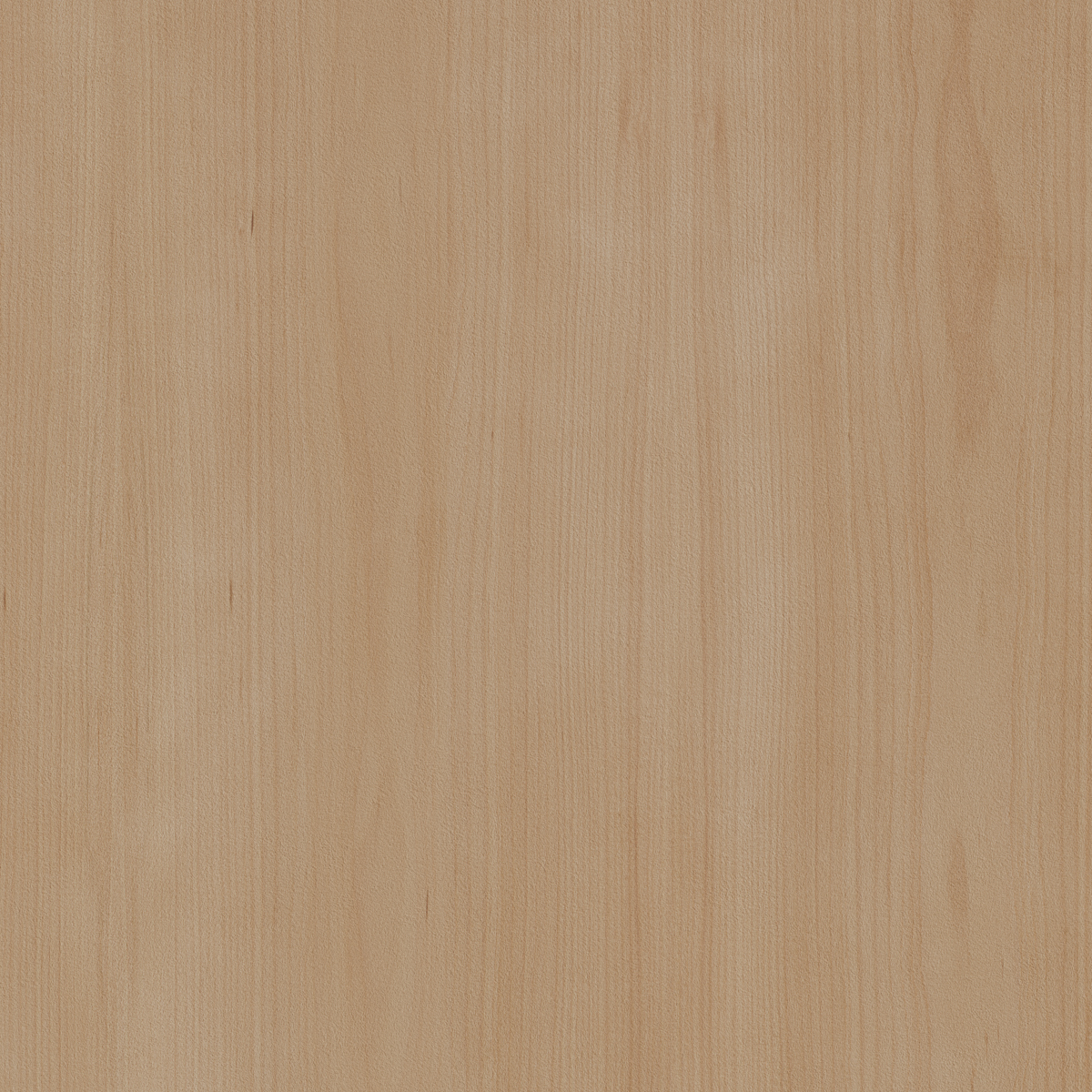 Zintra-Swatches-Euro-Beech.jpg