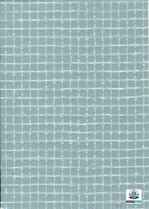 Bâches-armées-transparentes-KINGPRO-500x699.jpg