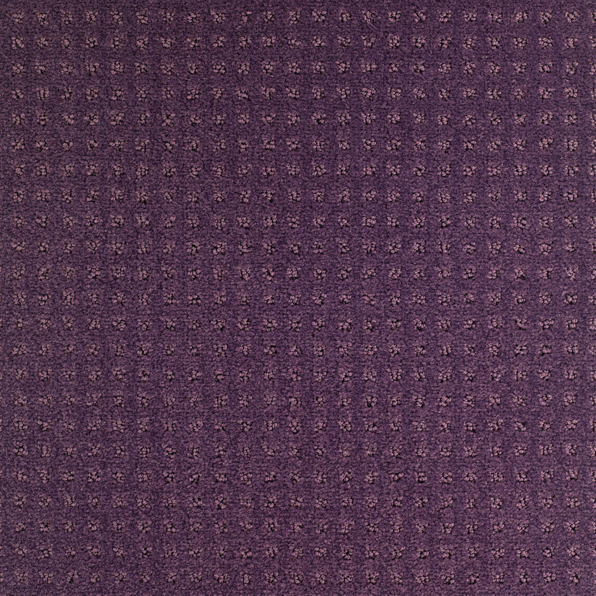 DE871_Purple_Look_Moquettes_Devon.jpg