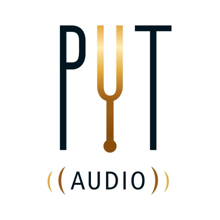 Fichiers BIM produits PYT AUDIO