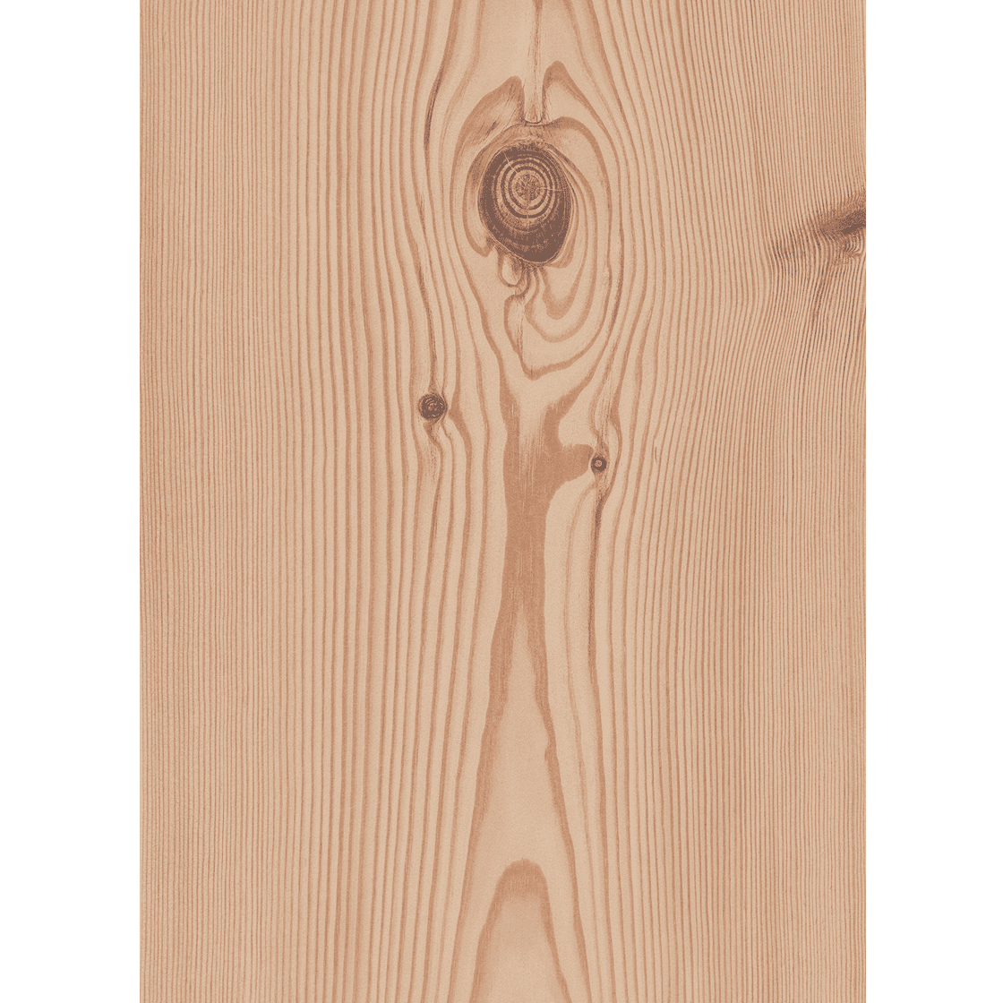 pine_natural_1120x1120_dinesen.jpg